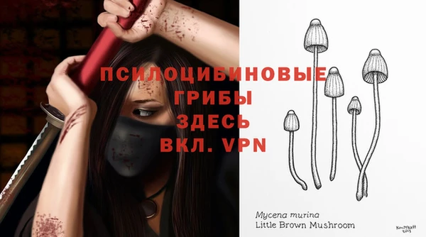 эйфоретик Богданович