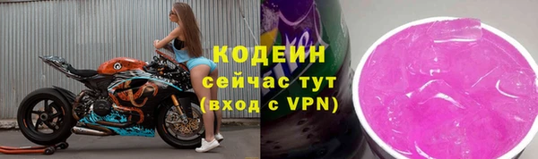 эйфоретик Богданович