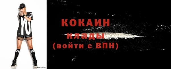 эйфоретик Богданович