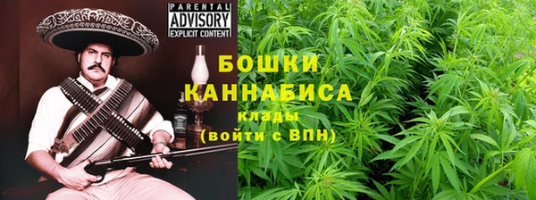 эйфоретик Богданович