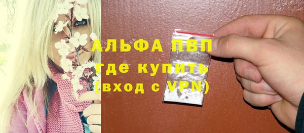 эйфоретик Богданович