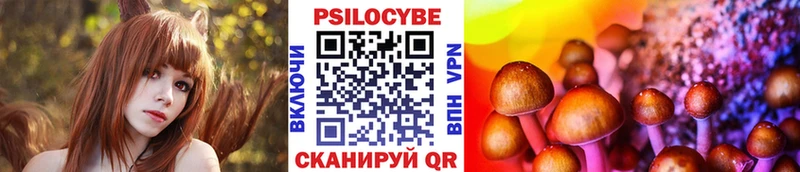 Псилоцибиновые грибы GOLDEN TEACHER  Зима 